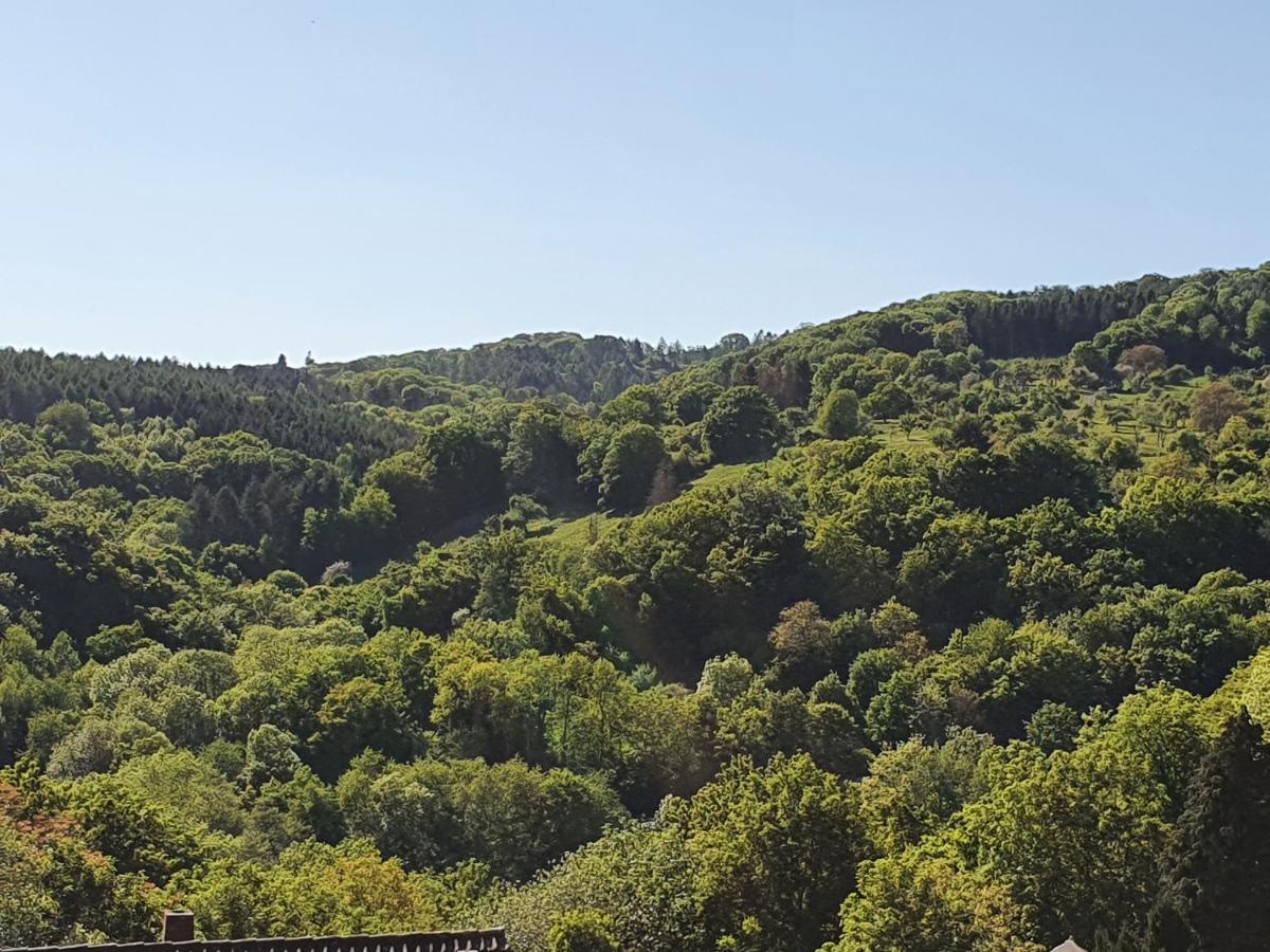 Die Gruene Oase Am Rheinsteig 2 Zkbuwc Neuwied Esterno foto
